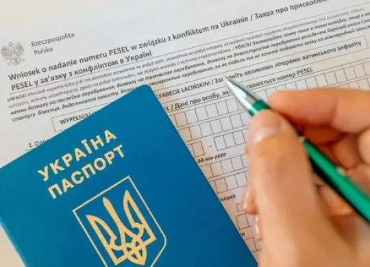 Как легализовать свое пребывание в Польше после временной защиты: советы для украинцев