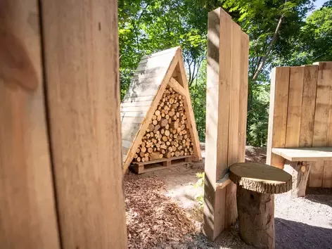 В Киеве на Подоле открыли первый в Украине терапевтический сад: как он выглядит?