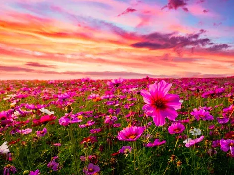 Where to go for the May holidays in 2024? The most interesting tours in Ukraine