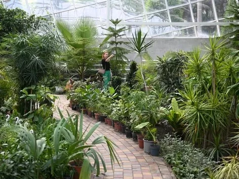 For the first time since the beginning of the war, a botanical garden has been opened to visitors in Zaporizhzhia: what can you see there?