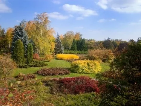 The most beautiful botanical gardens in Ukraine to visit in the fall