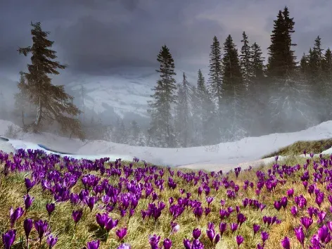 Вместе к новым впечатлениям: Visit Ukraine и Visit запускают еще больше туров по Украине