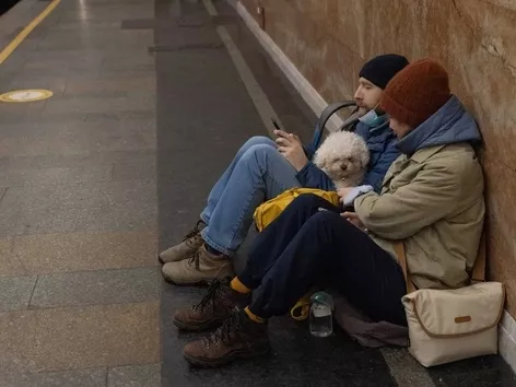 Ukraine officially allows taking pets to shelters: under what conditions?