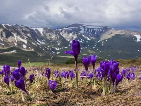 A fairy tale of Transcarpathia: a trip to the blooming land with Visit Ukraine