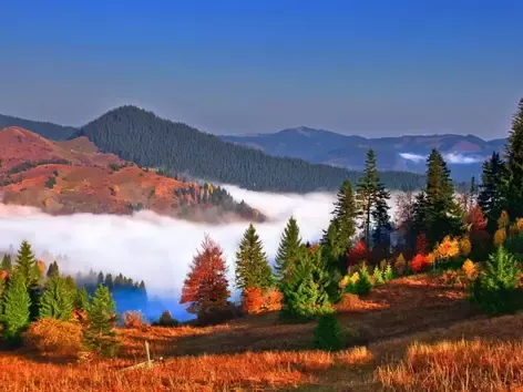 Autumn retreat in the Carpathians: where to go