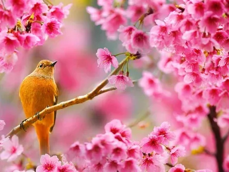 Куда поехать на отдых в Украине: лучшие места для релакса