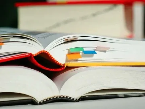 Украинский язык можно изучать в двух школах Вены: подробности