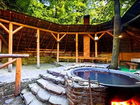 Lumshory in the Carpathians: why does everyone dream of enjoying SPA treatments in a beech forest?