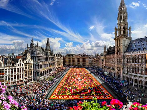 How to refuse temporary protection or cancel the A card in Belgium: details