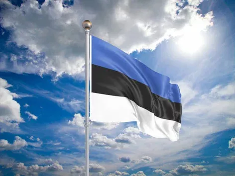 Страхування для в'їзду в Естонію: кому потрібно, правила оформлення для різних категорій віз та де придбати