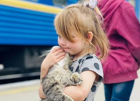 What documents can a child go abroad with: border crossing is simplified