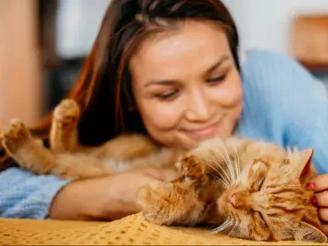 Veterinary passports in Diia will appear after the launch of the pet registry: details