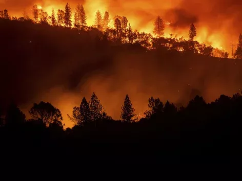 Forest fires sweep Europe: where the elements are raging and whether tourists should cancel their trips