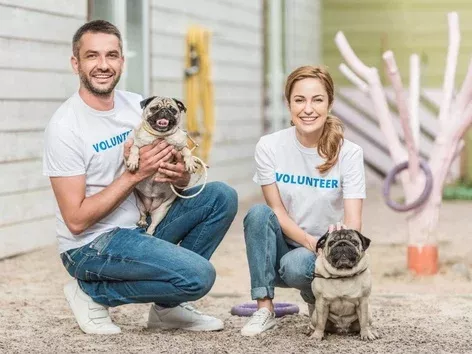 Волонтерство в Україні: як отримати дозвіл та документи для іноземних волонтерів