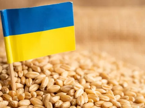 Why is Ukrainian grain so important to the world?