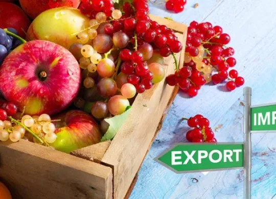 Qué productos se pueden exportar de Ucrania al extranjero en 2025: detalles importantes