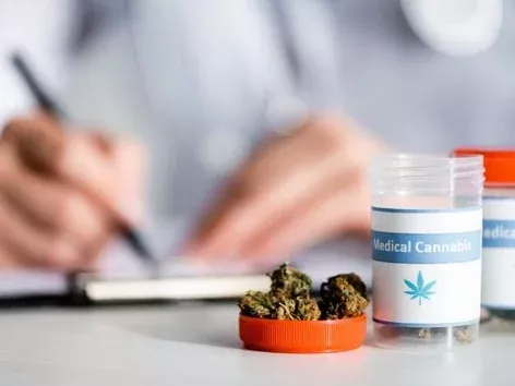 Verkhovna Rada legalizes medical cannabis: when will the medicine become available to Ukrainians?