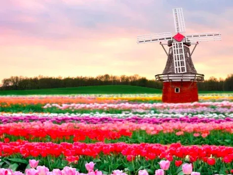 Traveling to Ukraine from the Netherlands: travel costs, convenient routes and entry rules