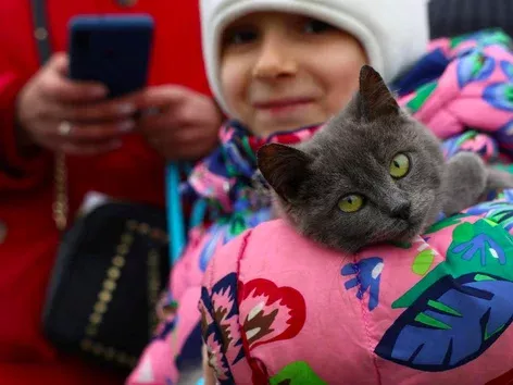 The number of Ukrainians with children in Poland has increased 5 times: research results