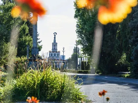 Kvitolito has kicked off in Kyiv: where is it happening and what is there to see?