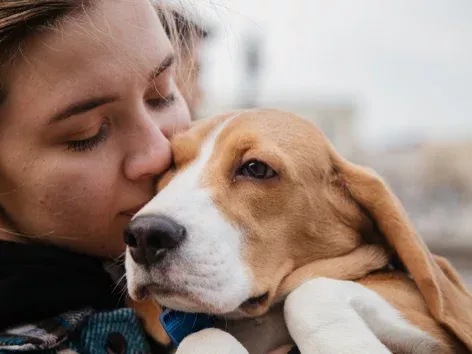 The State Register of Pets has been launched in Ukraine: what is it about?