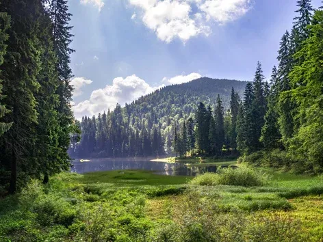 Excursion to Synevyr: visit the pearl of Mizhhirya with Visit Ukraine