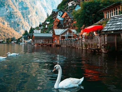 Austria is ready to accept a new wave of Ukrainian refugees if the situation in Ukraine worsens: details