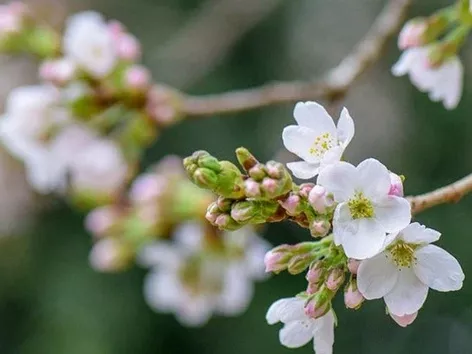 Праздник весны и труда в Европе: что открыто и что закрыто с 1 по 3 мая в странах ЕС