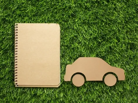 Какие штрафы ожидают украинцев в ЕС без Зеленой карты в 2025 году?