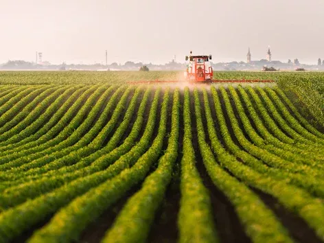 Land market opened for legal entities in Ukraine: what changes have been made