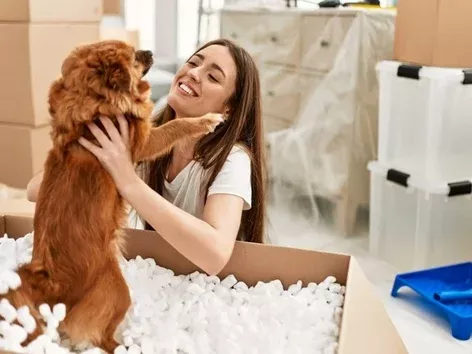 Child- and pet-friendly: how much does it cost to rent an apartment with children and pets in different cities of Ukraine?