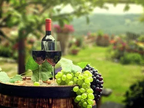 Украинское вино: лучшие вина Закарпатья и где их попробовать