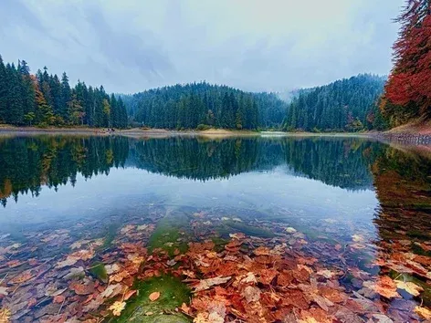 Осенний отдых в Закарпатье: термальные воды и спа среди гор