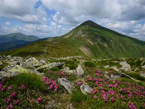 Climbing Hoverla: An action for Ukrainians on Independence Day