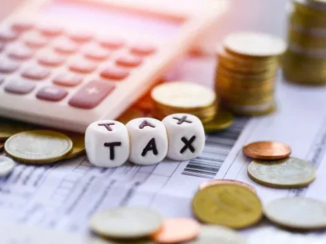 Which regions paid the most tourist taxes in 2024?