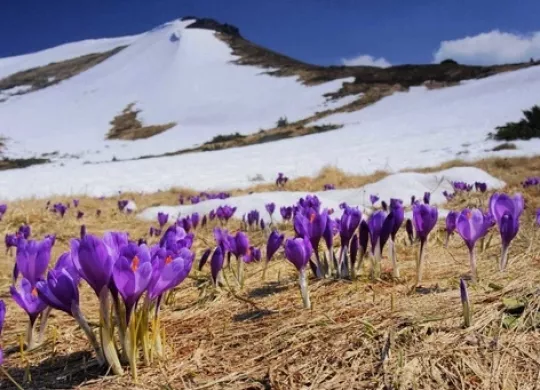 Where to go in March in Ukraine: top destinations for traveling with friends or family