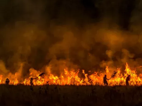 Wildfires rage across Europe: which tourist countries have become epicentres of the elements