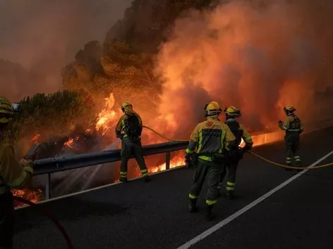 Экстремальная жара и лесные пожары: новое предупреждение об угрозах в Европе