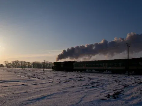 Бесплатные билеты на UZ-3000: какие поезда более популярны