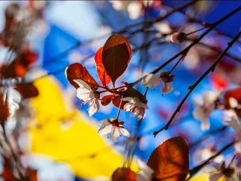 New law on mobilization, the beginning of the NMT, changes in traffic rules: what will change in Ukraine from May 1