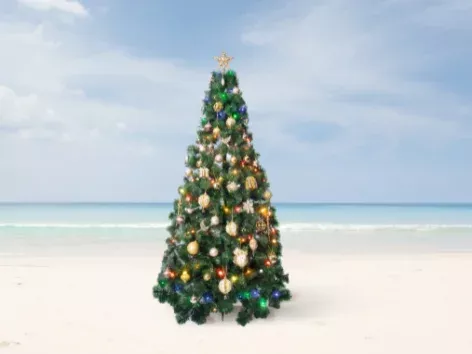 New Year 2025: where to go to the sea for an unforgettable holiday in an exotic country