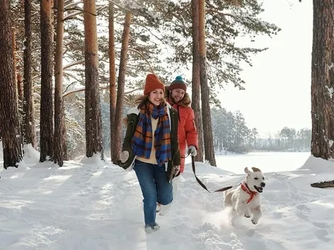 How do Ukrainians rest during the war?