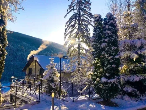 Relaxation tour to VitaPark Carpathians: go on a fabulous journey with Visit Ukraine