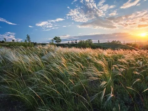 War in Ukraine: how does nature help the UAF defeat russian invaders?