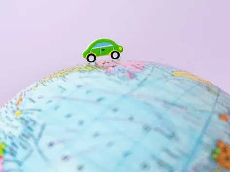 Як перевіряють Зелену карту на кордоні?