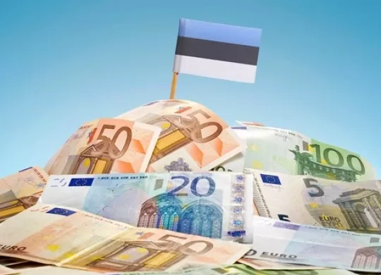 Ukrainian refugees are actively opening businesses in Estonia: important details