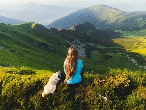Вдвое больше чем в прошлом году: сколько украинцев планируют отпуск в этом году?
