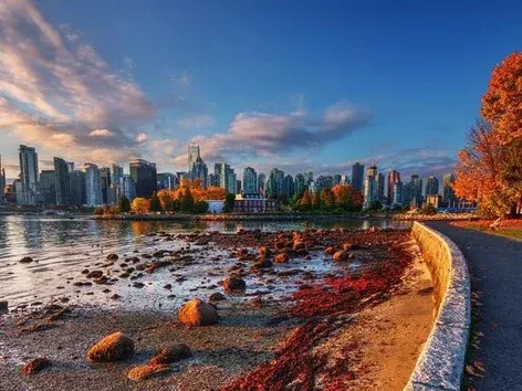 Поддержка украинских мигрантов в Канаде снижается: какие возможности остаются?