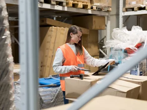 Which countries have the highest number of employed Ukrainian refugees in 2024?