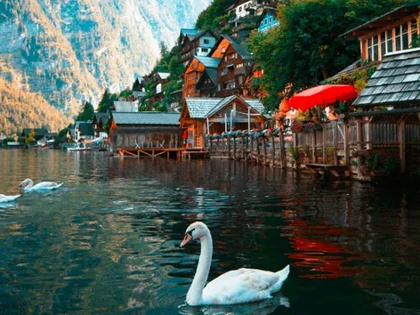 When do Ukrainians need a visa to Austria and how to apply for it?